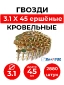 Гвоздь кровельный DPN 3.1x45 NK RING (CRN 31/45) Гвоздь кровельный DPN 3.1x45 NK RING (CRN 31/45)